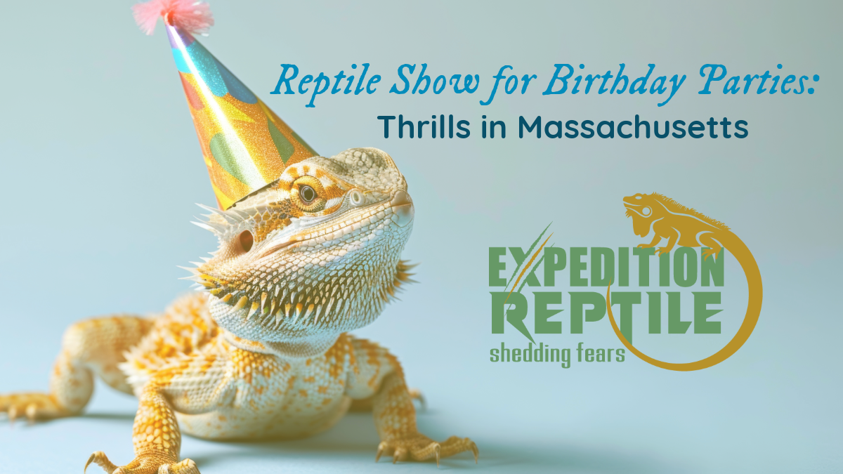 Reptile Show for Birthday Parties in Massachusetts