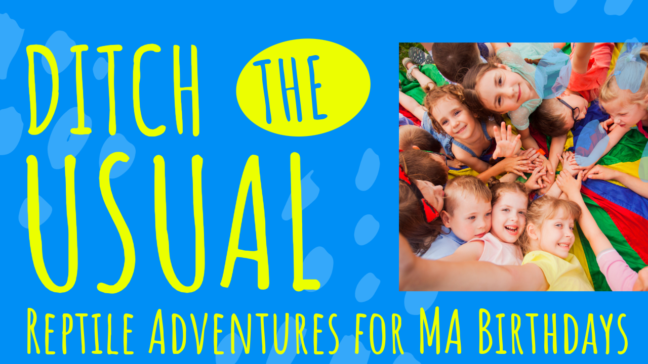 Ditch the Usual: Reptile Adventures for MA Birthdays