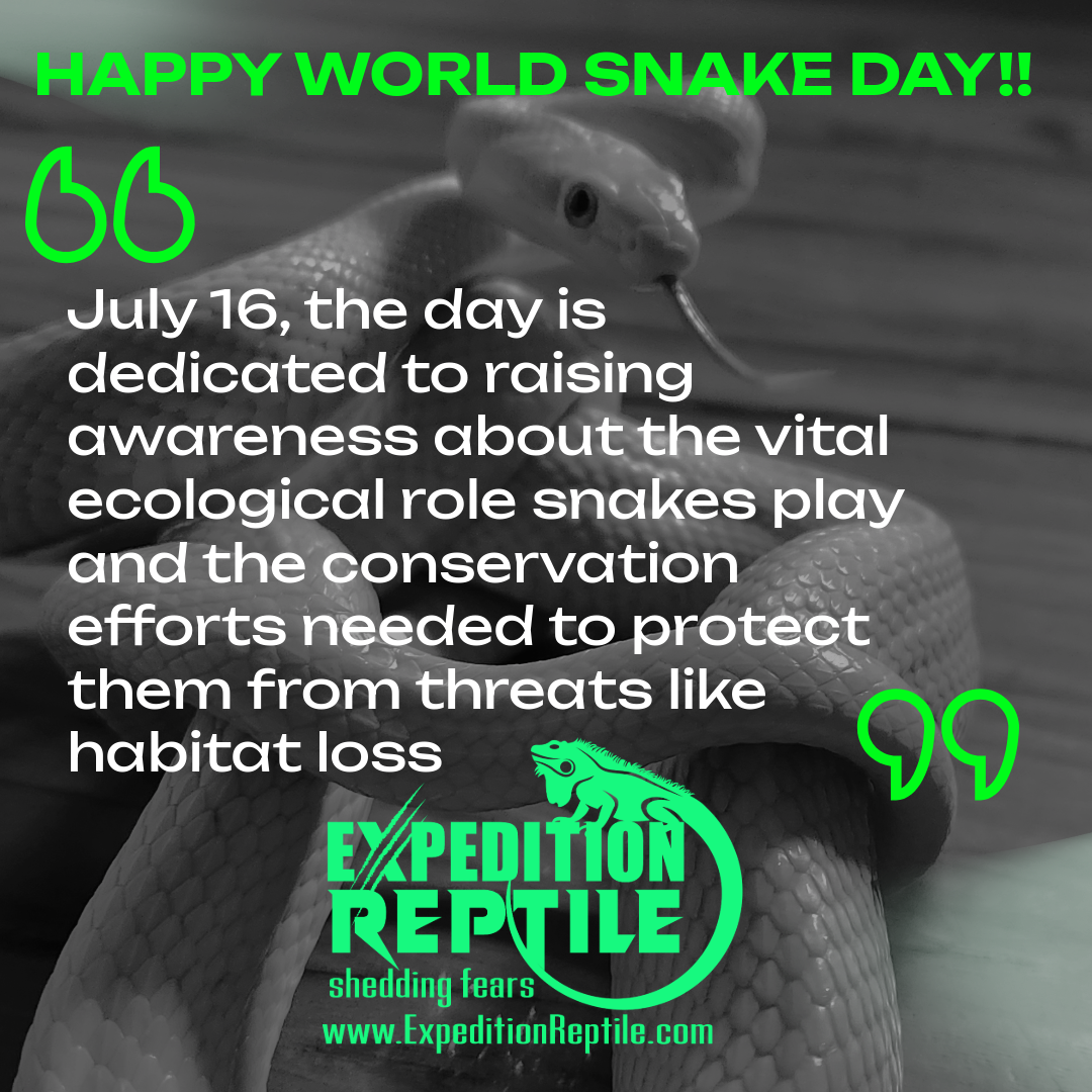Happy World Snake Day Happy World Snake Day