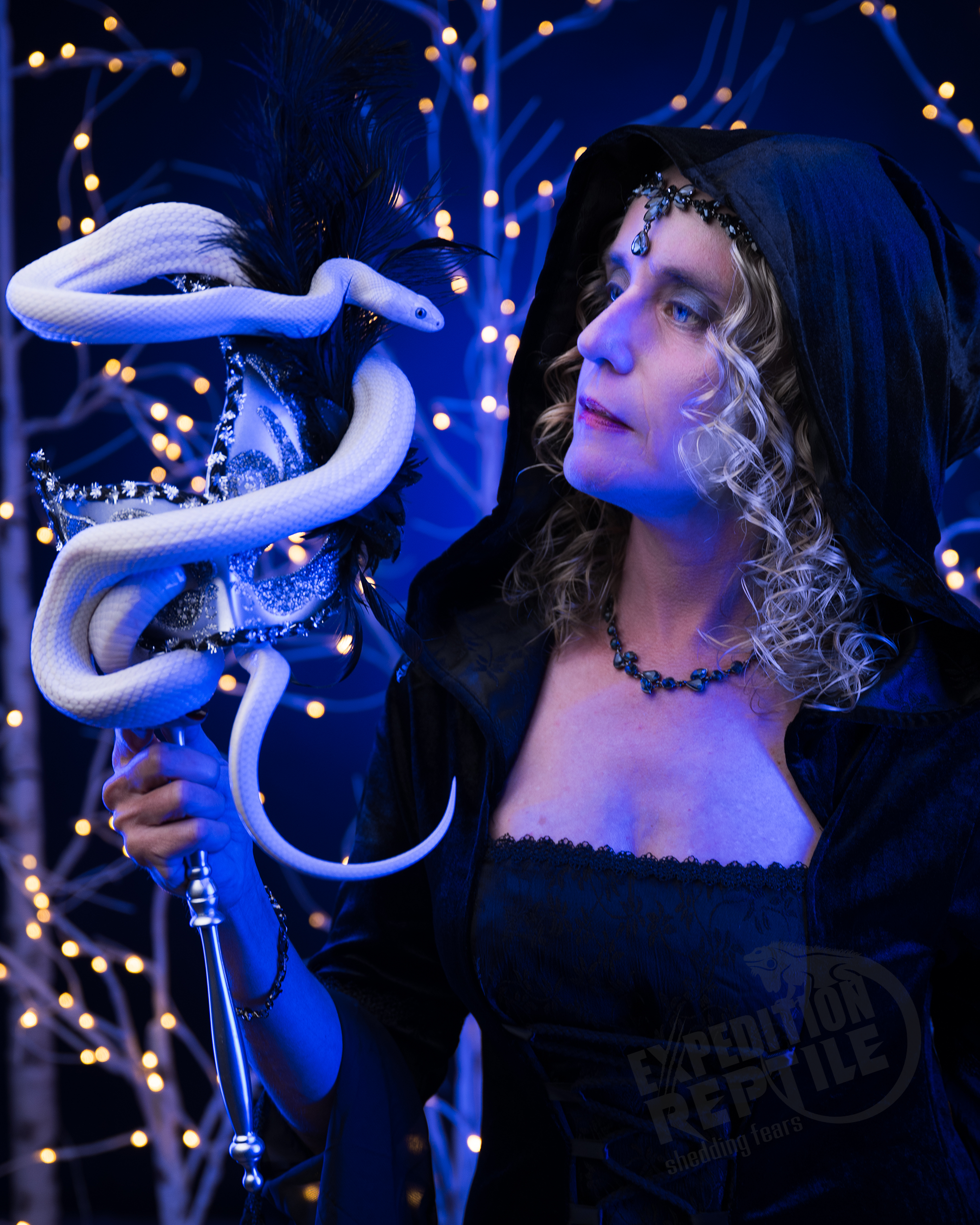 Halloween Photoshoots Halloween Photoshoots